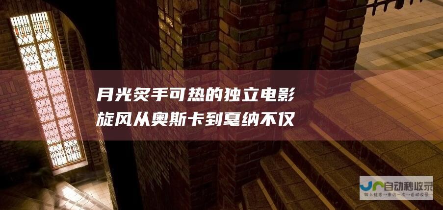 月光 炙手可热的独立电影旋风 从奥斯卡到戛纳 不仅仅是于适