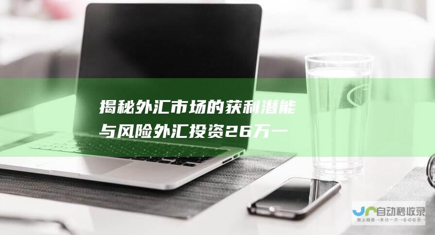 揭秘外汇市场的获利潜能与风险 外汇投资 26万一个月能赚2万吗