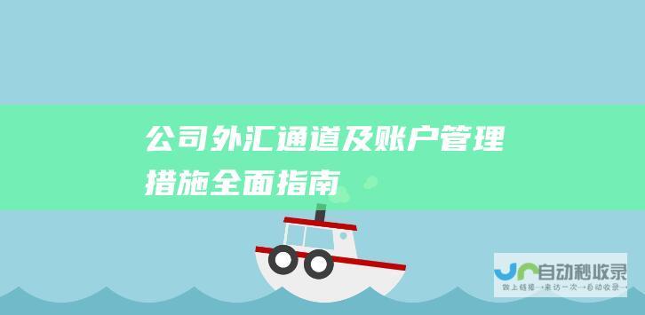 公司外汇通道及账户管理措施 全面指南