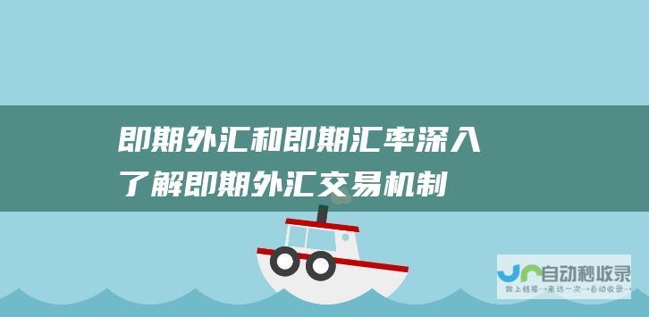 即期外汇和即期汇率 深入了解即期外汇交易机制