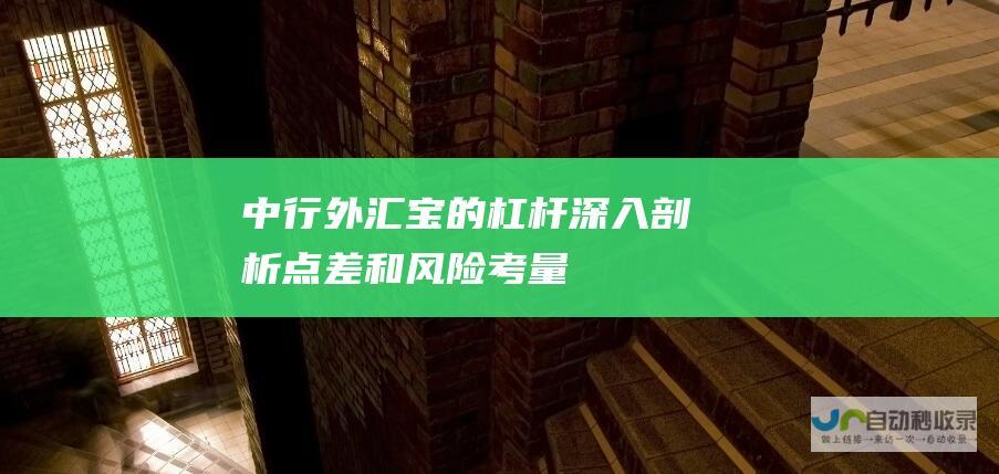 中行外汇宝的杠杆 深入剖析 点差和风险考量