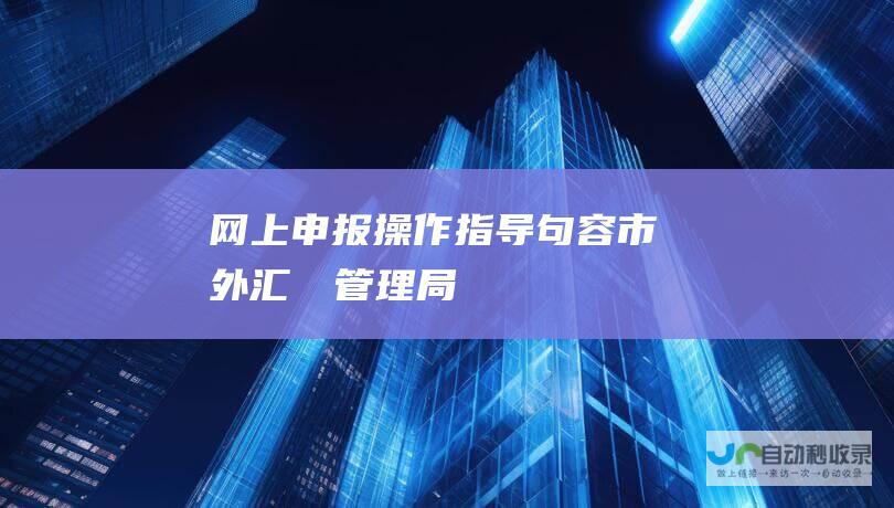 网上申报操作指导 句容市外汇​​管理局