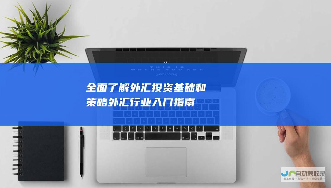 全面了解外汇投资基础和策略 外汇行业入门指南