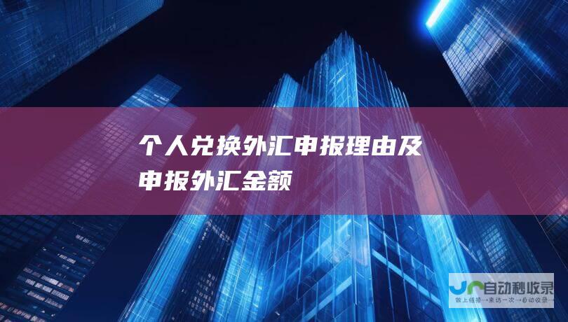 个人兑换外汇申报理由及申报外汇金额