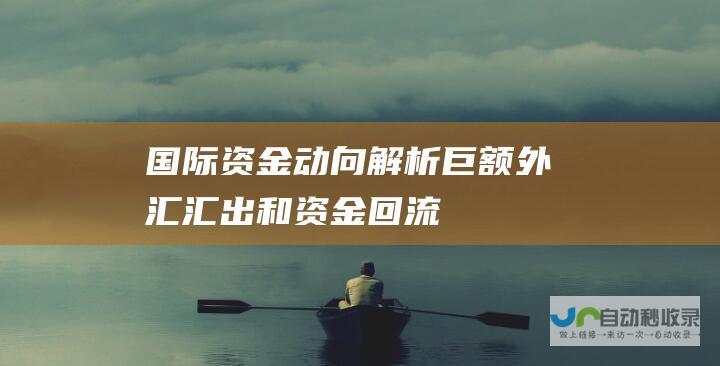 国际资金动向解析 巨额外汇汇出和资金回流