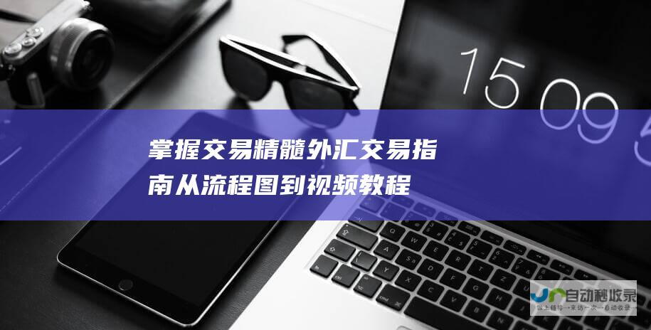 掌握交易精髓 外汇交易指南 从流程图到视频教程