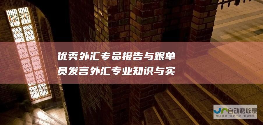 优秀外汇专员报告与跟单员发言 外汇专业知识与实战经验分享