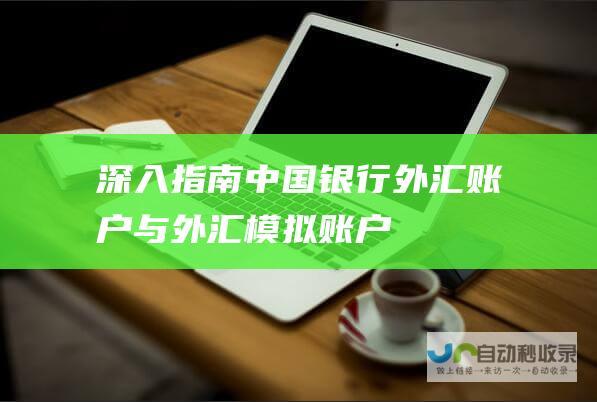 深入指南 中国银行外汇账户与外汇模拟账户