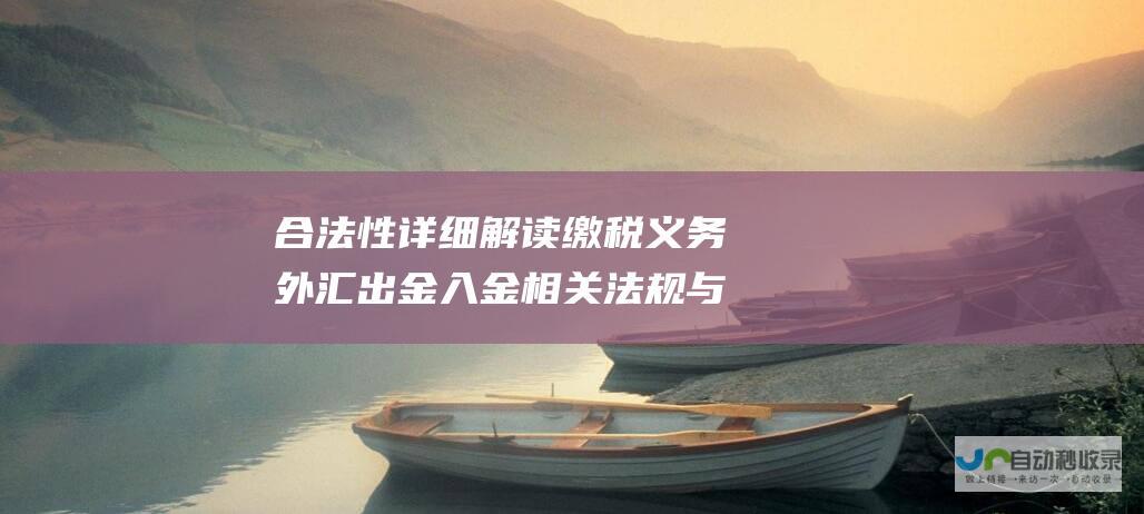 合法性 详细解读 缴税义务 外汇出金入金相关法规与税务说明