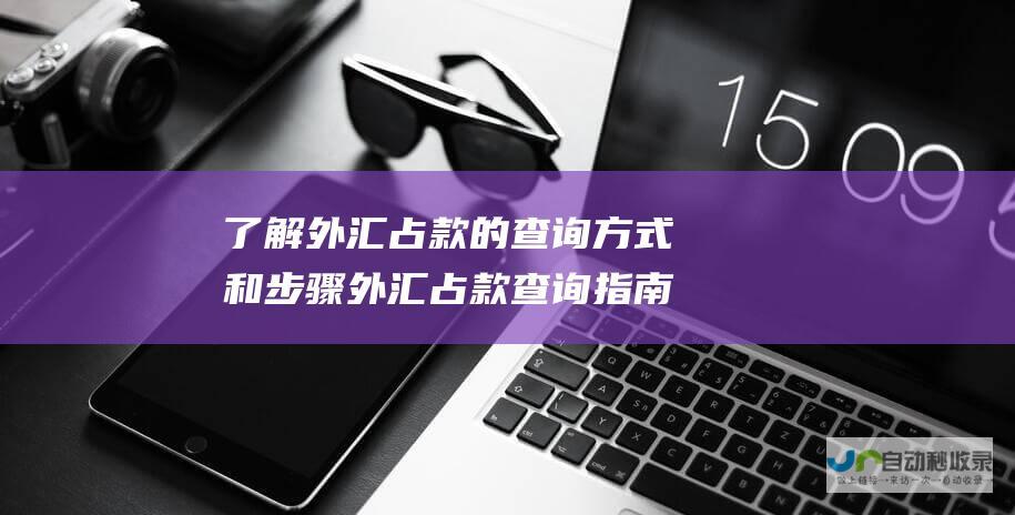 了解外汇占款的查询方式和步骤 外汇占款查询指南