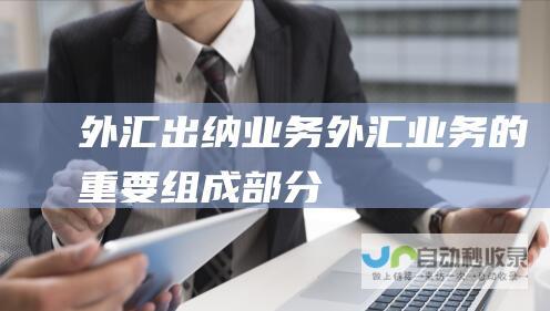 外汇出纳业务 外汇业务的重要组成部分