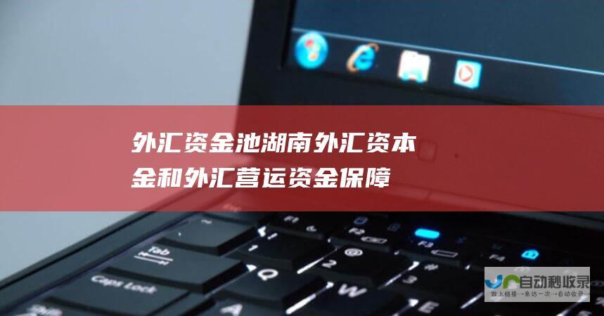 外汇资金池湖南 外汇资本金和外汇营运资金保障