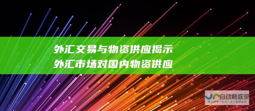 外汇交易与物资供应 揭示外汇市场对国内物资供应的影响