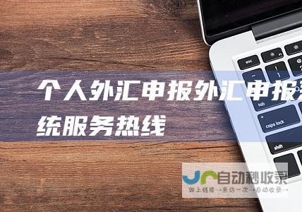 个人外汇申报 外汇申报系统服务热线