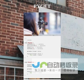 PYGET程序技术网