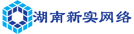 湖南新实网络科技有限公司